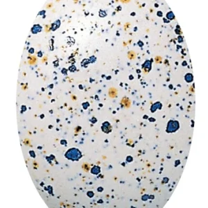 ELF 10 METEORITE