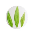 POT 6 VERT JAUNE