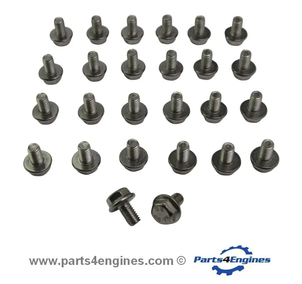 Perkins 103,15 Sumpfschraube eingestellt